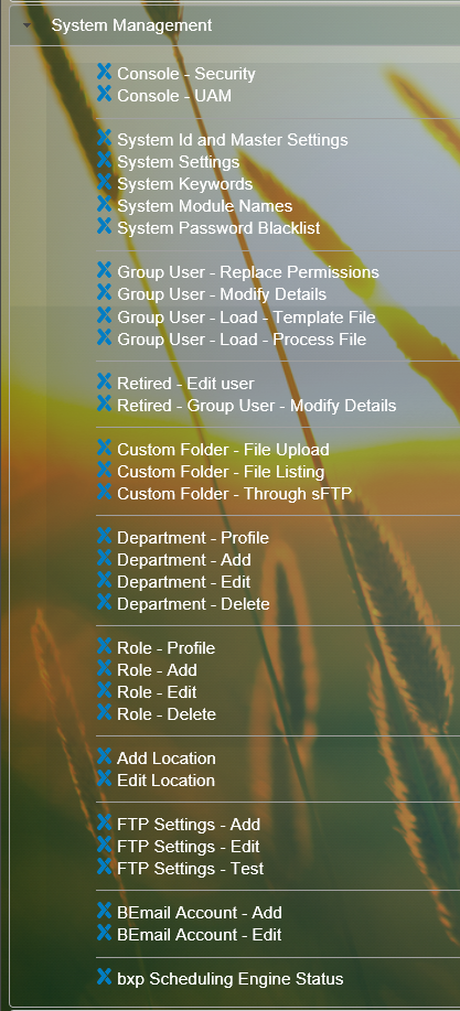 SystemManagement release10 Becomes.png