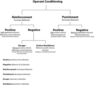 1024px-Operant conditioning diagram.png